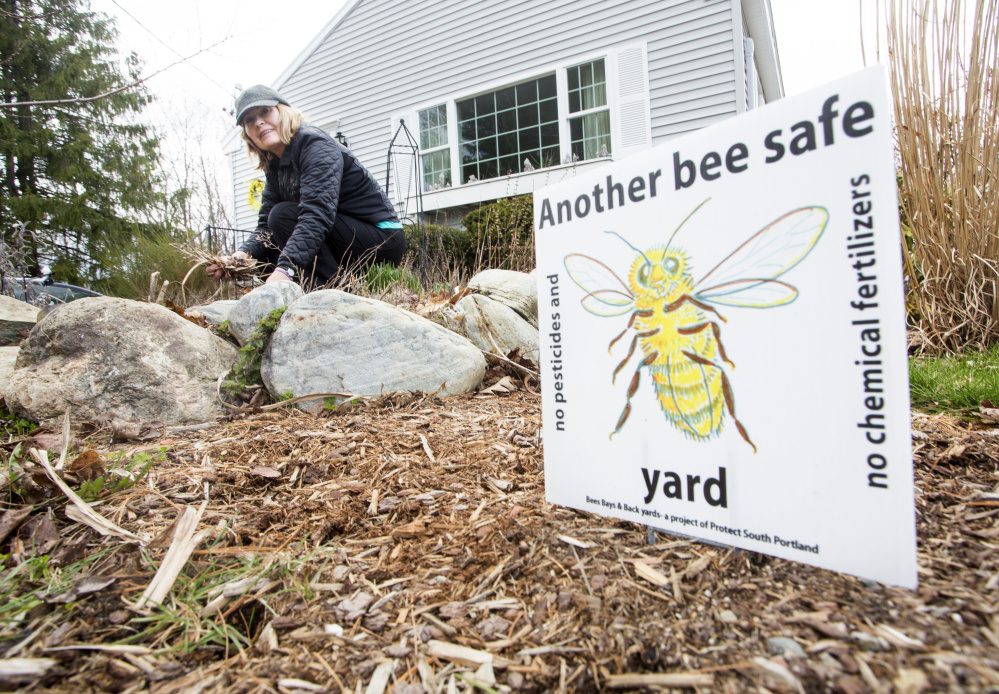 A bee-safe yard lawn sign reading Another bee safe yard, no pesticides and no chemical fertilizers