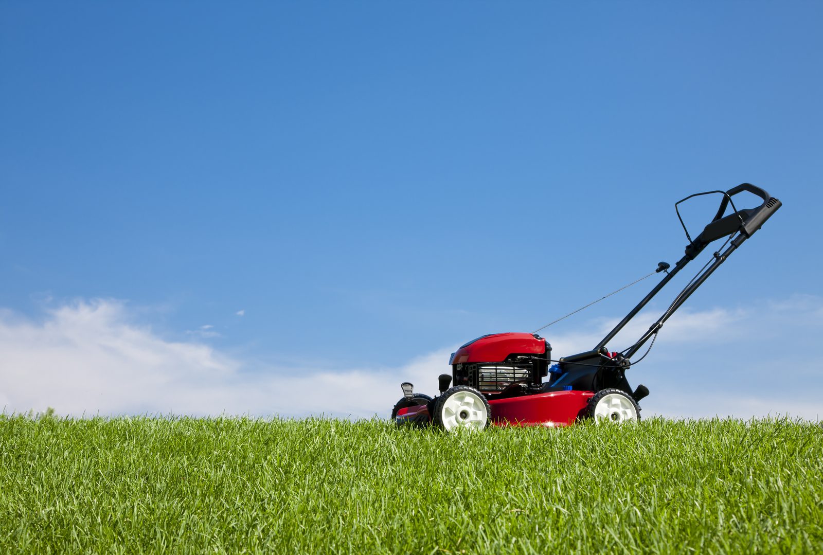 A mower cutting an organic lawn